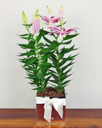 hover-image