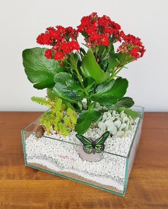 Mini Jardim