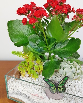Mini Jardim