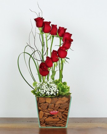 Espiral de Rosas Vermelhas