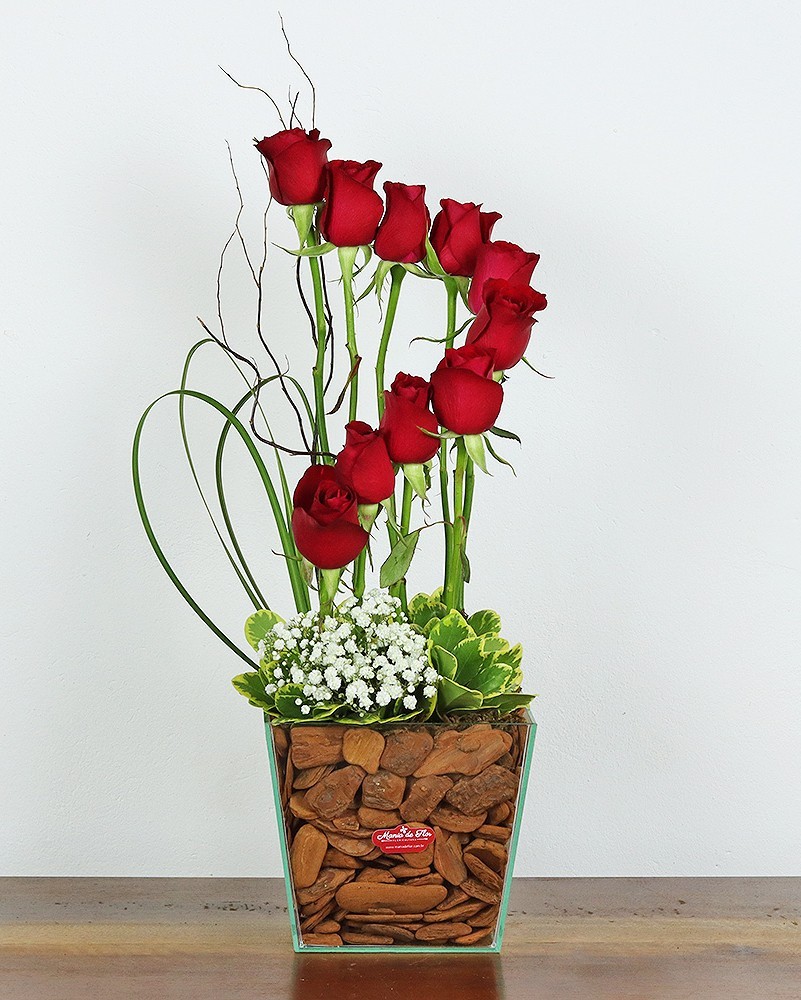 Espiral de Rosas Vermelhas